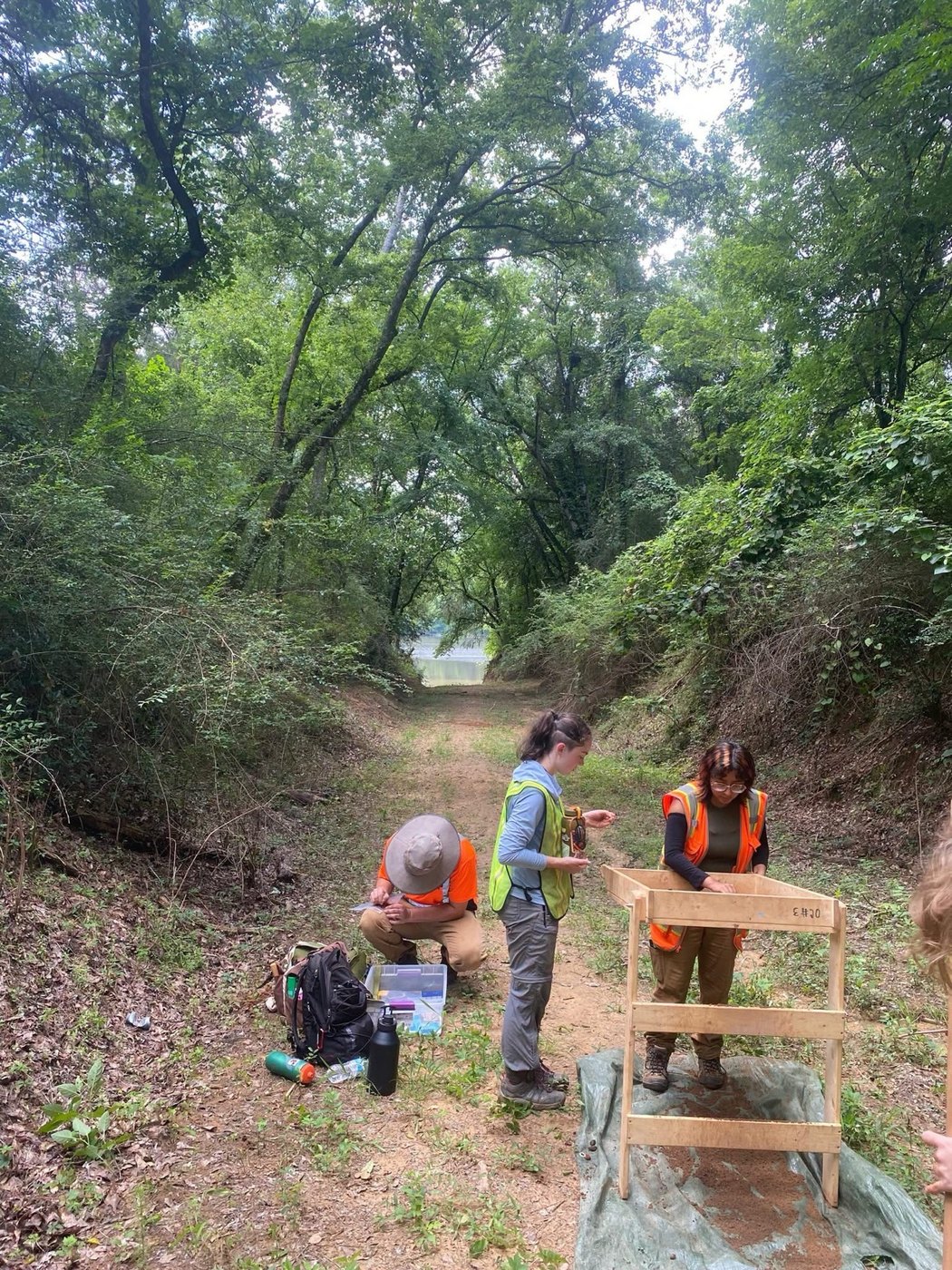 Participants screening and recording material during the Phase I survey